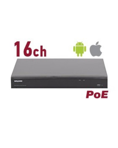 RK2216-P. Видеорегистратор IP 16-канальный. Beward в Симферополе