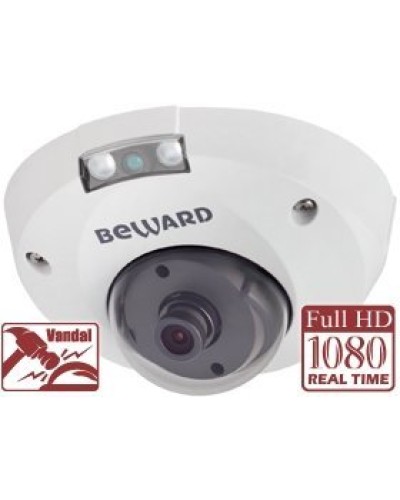 NK55630D8. IP-камера купольная. Beward в Симферополе