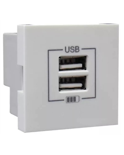 Розетка USB двойная, зарядная, белая (45439 SBR): Розетка USB двойная в Симферополе