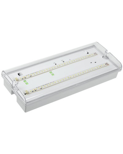 Светильник аварийный ДПА 5042-3 3ч IP65 LIGHTING (LDPA0-5042-3-65-K01). Светильник аварийный универсальный. IEK в Симферополе
