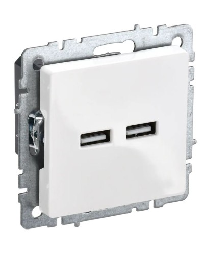 Розетка USB A+A 3,1А РЮ10-1-БрБ белый BRITE (BR-U21-D31-K01). Розетка USB. IEK в Симферополе