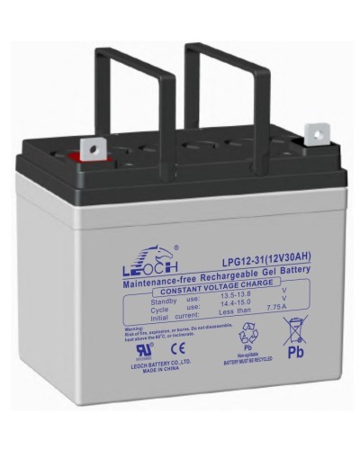 LEOCH LPG 12-31. Аккумулятор герметичный свинцово-кислотный. LEOCH в Симферополе