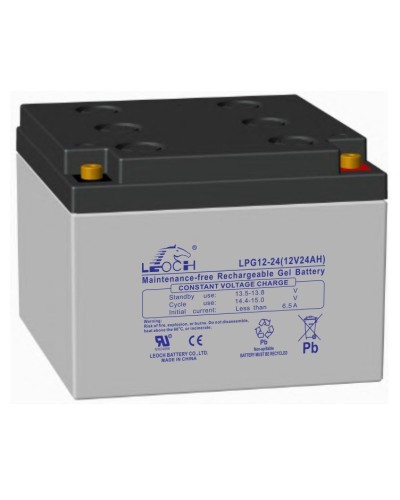 LEOCH LPG 12-24. Аккумулятор герметичный свинцово-кислотный. LEOCH в Симферополе