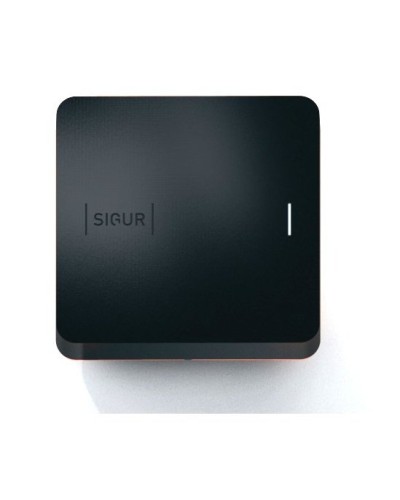 Sigur MR100 Multi. Считыватель. SIGUR в Симферополе