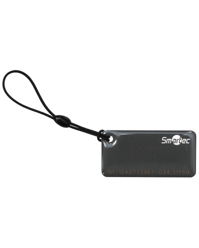 ST-PT015MF-GR. Брелок. Smartec в Симферополе