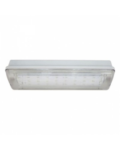 SL-223-30LED1.8 исп.1 IP54. Светильник аварийного освещения. ИП Раченков А.В. в Симферополе